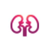 ephrology-urology